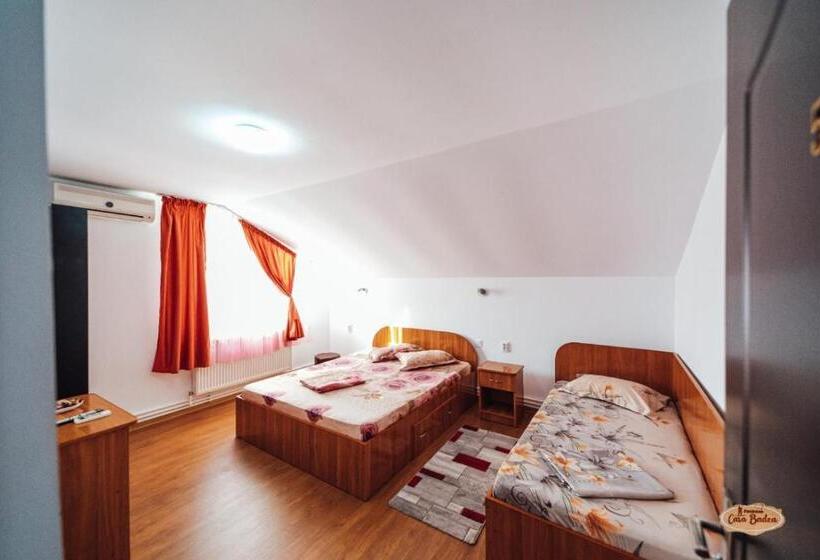 Пансион Casa Badea