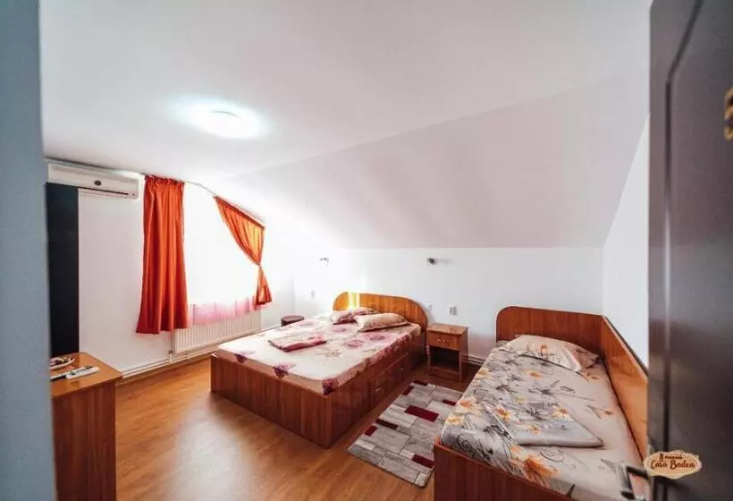 Pensjonat Casa Badea