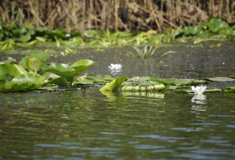 Пансион Casa Badea