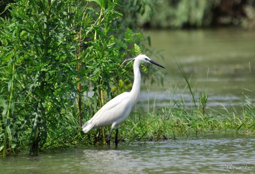 Пансион Casa Badea