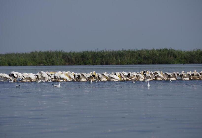 Пансион Casa Badea