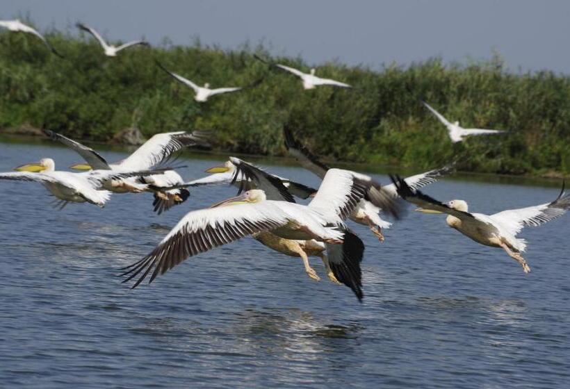 Пансион Casa Badea