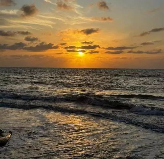 پانسیون Colibrí Del Mar