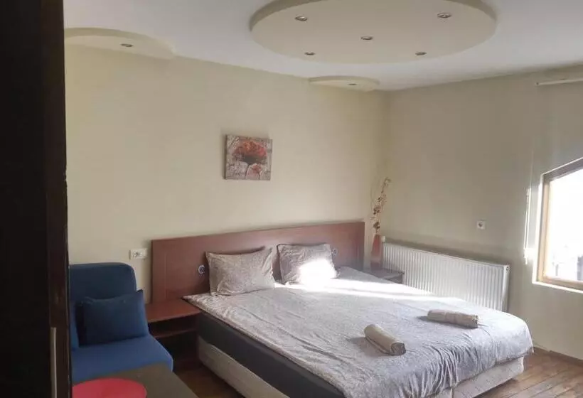 ペンション Dariya Guest House