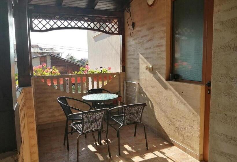 Pensió Dariya Guest House