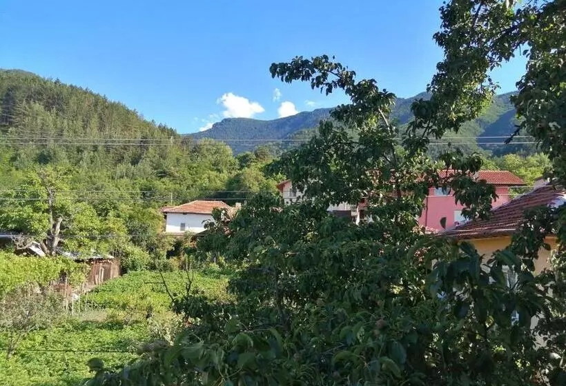 ペンション Dariya Guest House