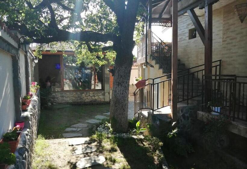 Pensió Dariya Guest House