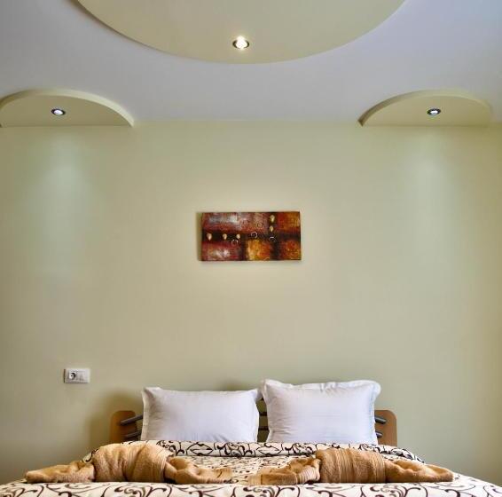 Pensió Dariya Guest House