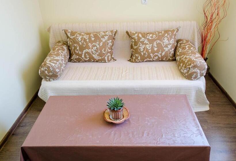 Pensió Dariya Guest House