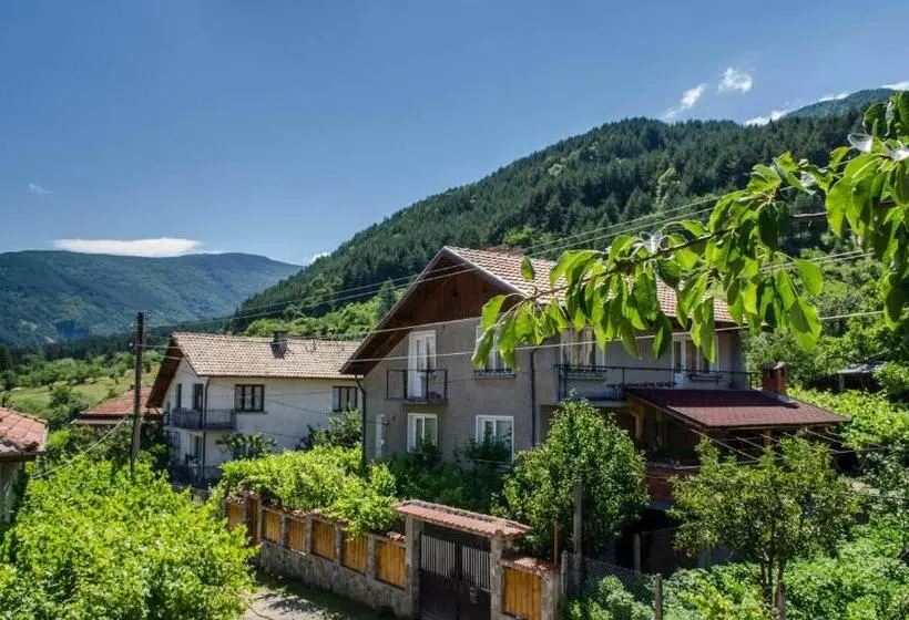 ペンション Dariya Guest House