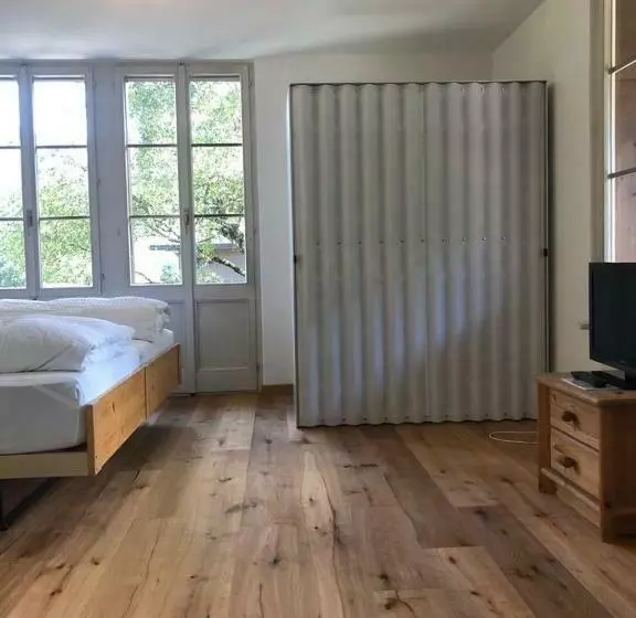 Hotelli Krone Budget