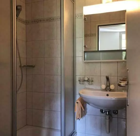 Hotelli Krone Budget