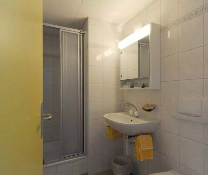 Hotelli Krone Budget