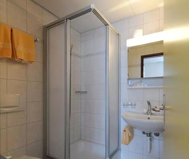 Hotelli Krone Budget