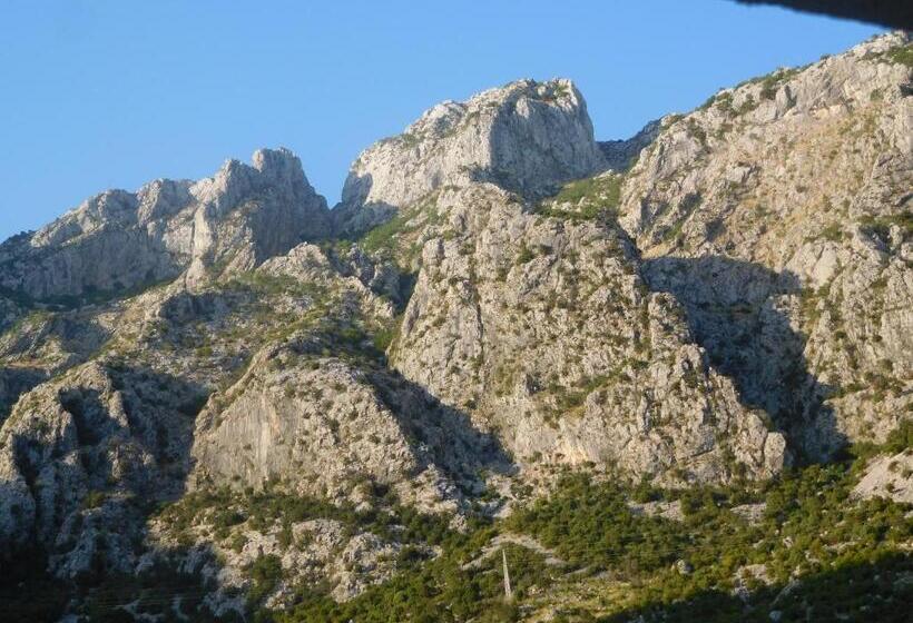 پانسیون Villa Aronija