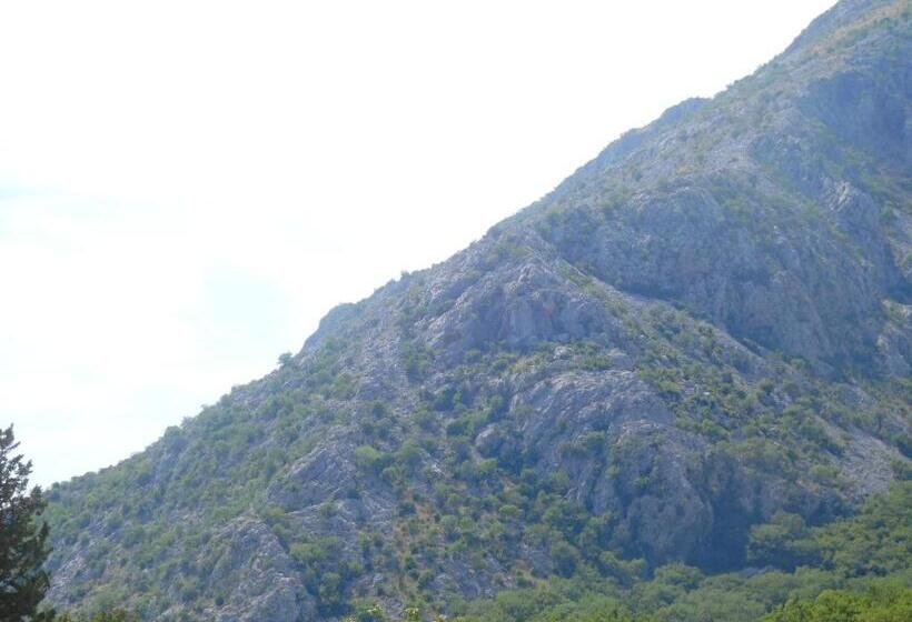 پانسیون Villa Aronija