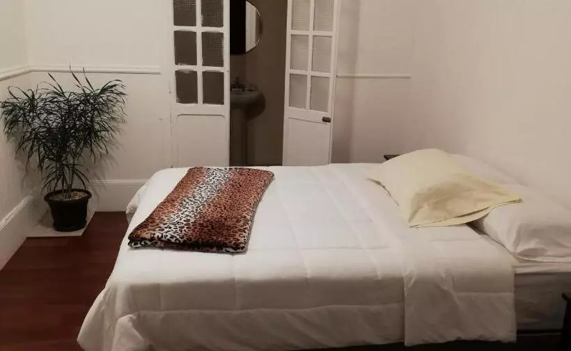 ユースホステル Casa Mayela Guest House