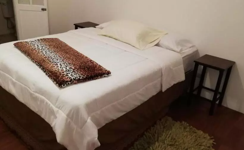 ユースホステル Casa Mayela Guest House