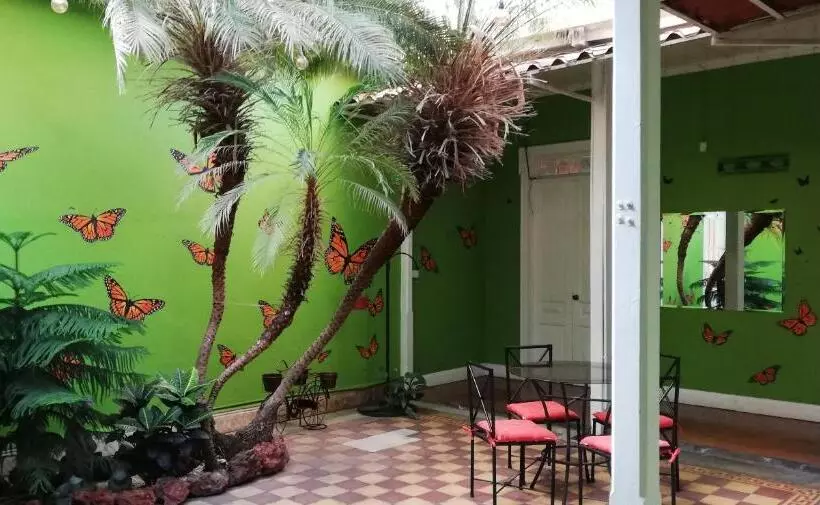 ユースホステル Casa Mayela Guest House