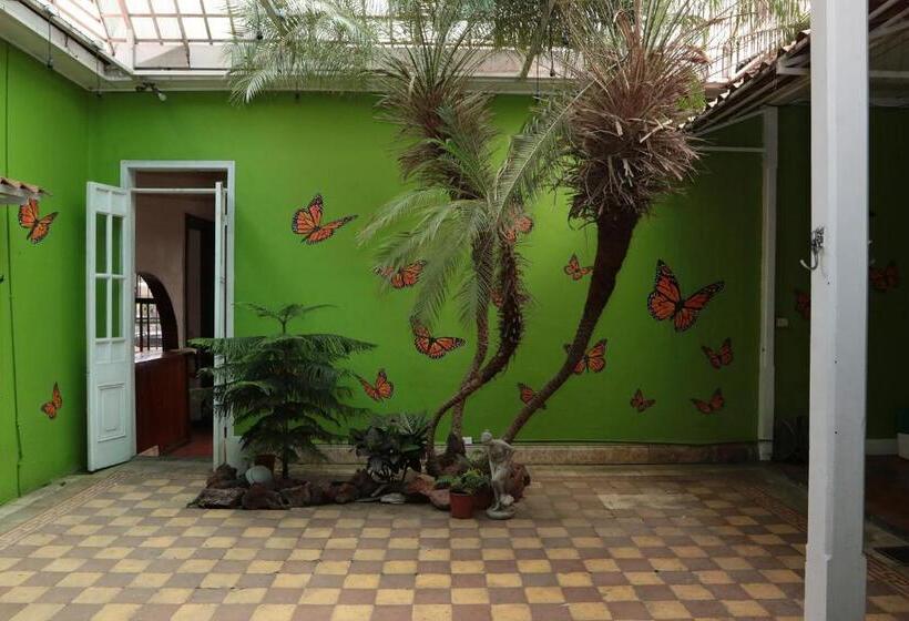 فندق صغير Casa Mayela Guest House