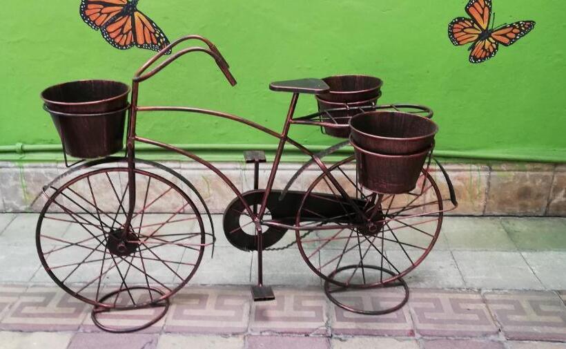 فندق صغير Casa Mayela Guest House