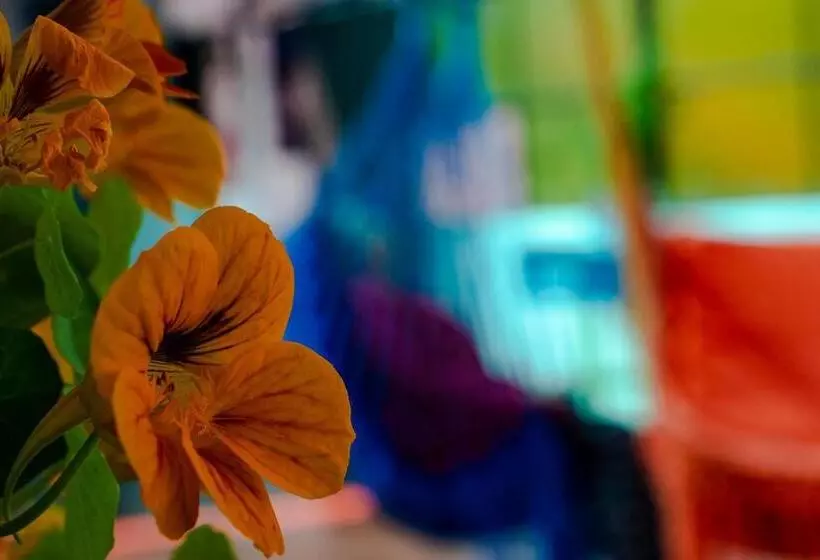 تختخواب و صبحانه Posada Azul Cusco