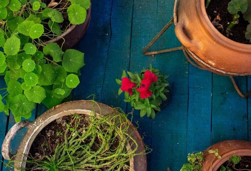 Bed and Breakfast Posada Azul Cusco