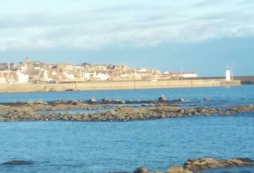 Bed and Breakfast The White House