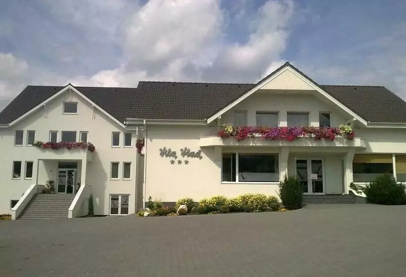 ホテル Vila Vlad