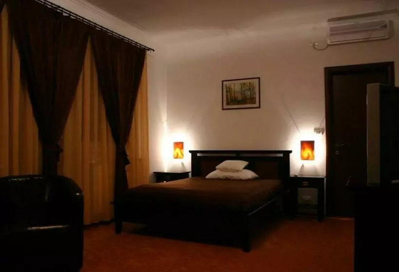 ホテル Vila Vlad