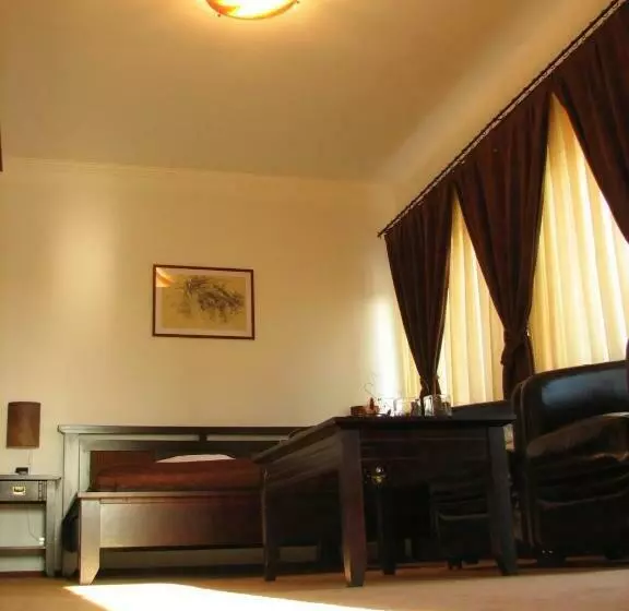 ホテル Vila Vlad