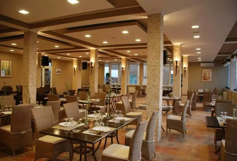 ホテル Vila Vlad