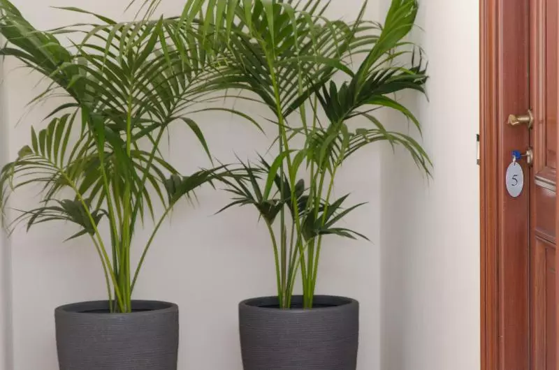 Panoramica Dei Templi B&b