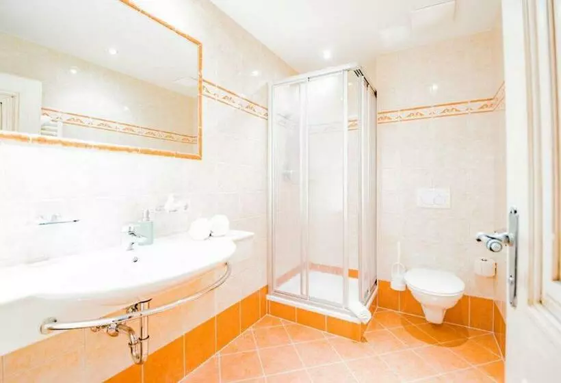 ペンション Der Torwirt Radstadt