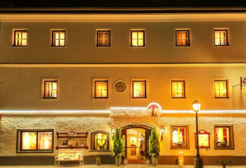 ペンション Der Torwirt Radstadt