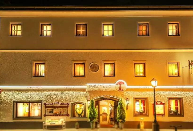 ペンション Der Torwirt Radstadt