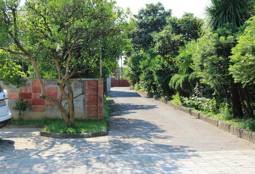 پانسیون Guesthouse Green House