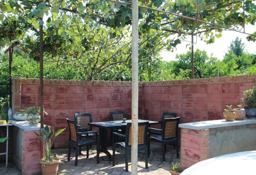 پانسیون Guesthouse Green House