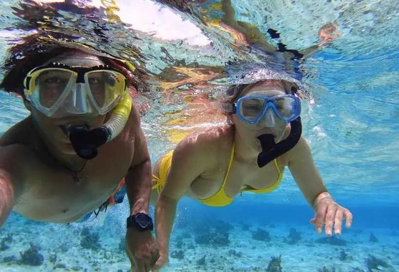 پانسیون Marmows Place