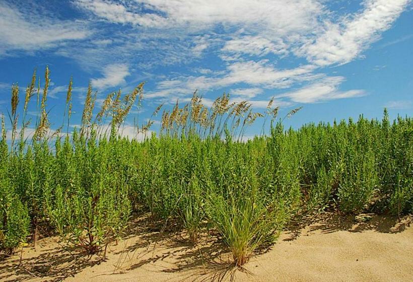 Admirals View Iii By Kees Vacations