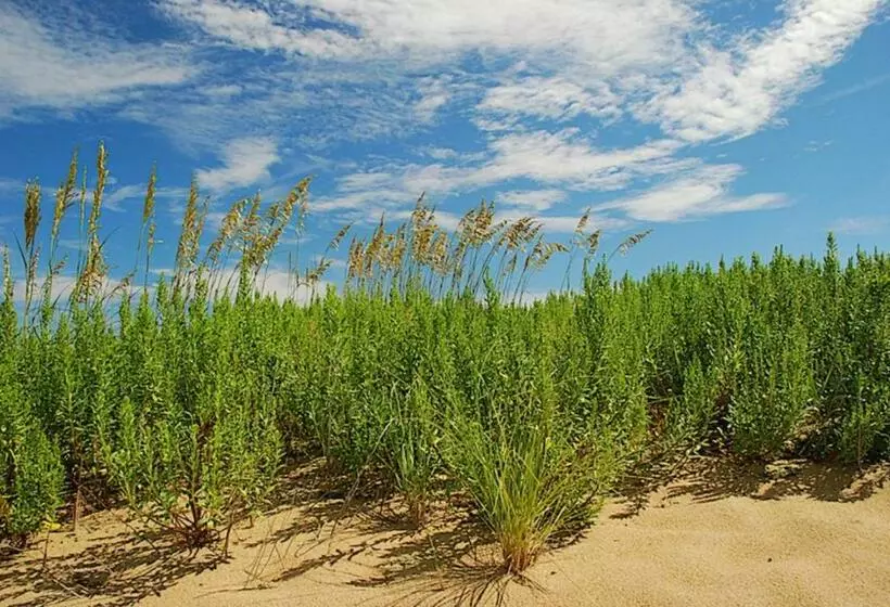 Admirals View Iii By Kees Vacations