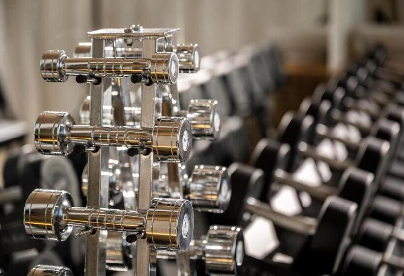 فندق صغير Historisches Gasthaus Hotel Hirschen Horn