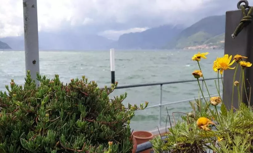 ベッドアンドブレックファースト La Magnolia Guests House