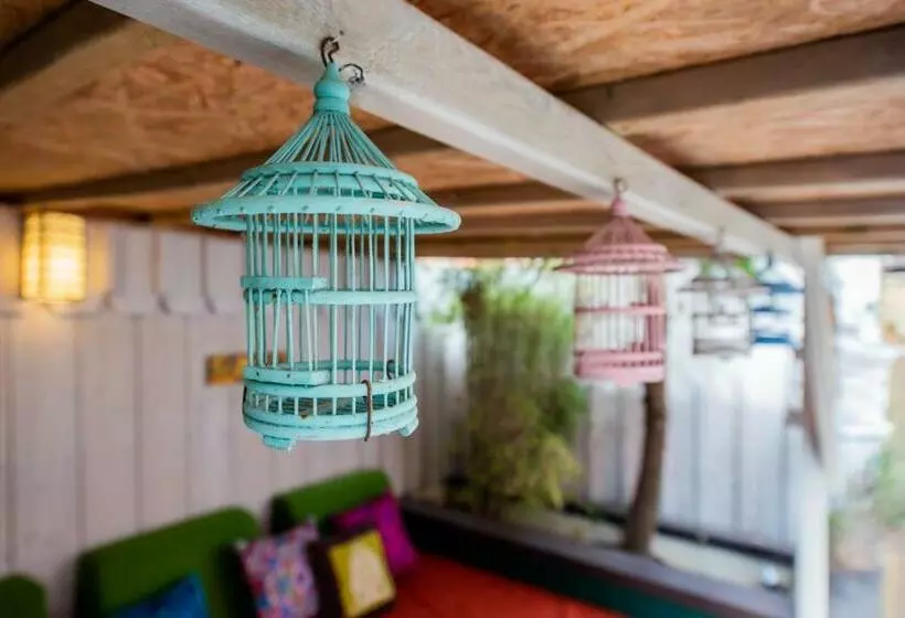 تختخواب و صبحانه Villa Zenith Hostel   La Maison
