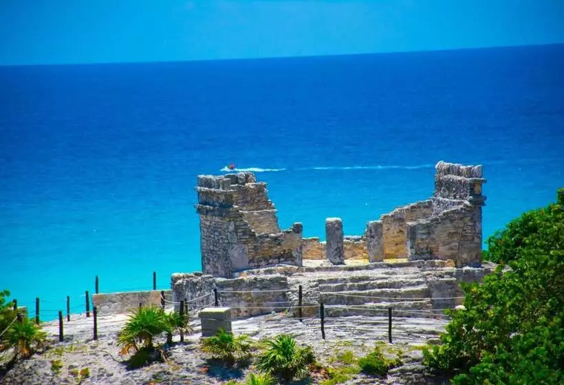 Condo In Ocean Front Resort