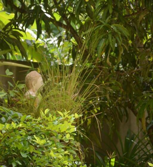 Пансион Casa Maria