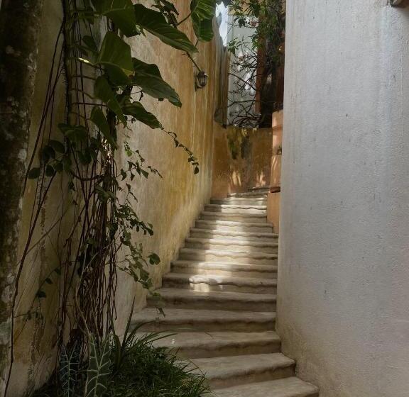 Пансион Casa Maria