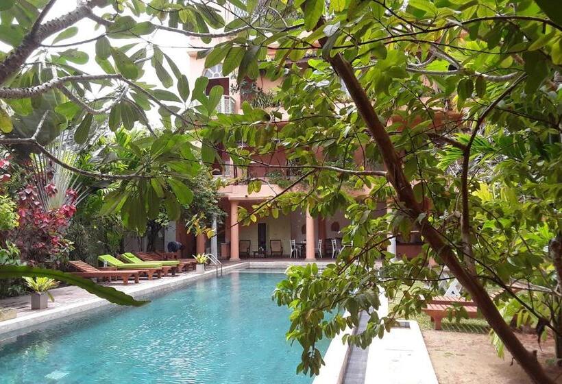 Пансион Casa Maria