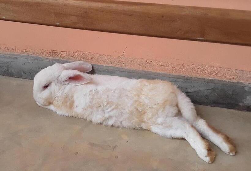 Пансион Casa Maria