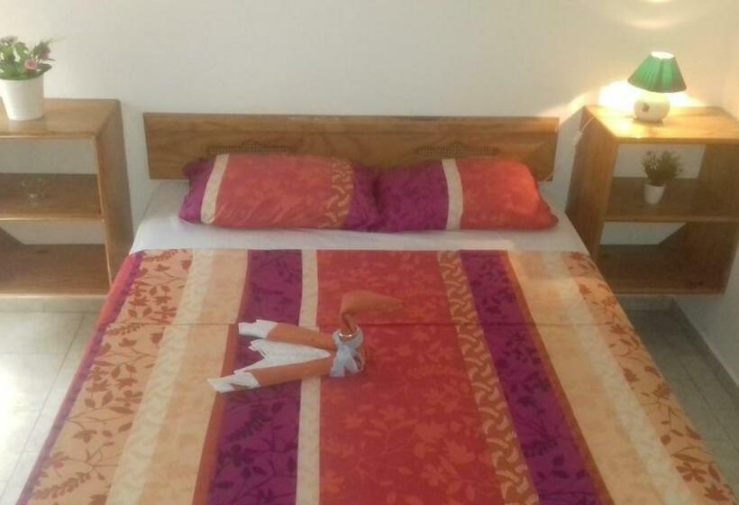 膳宿费 Casa Picadilly